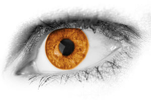 What Is Your Vision?