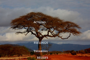 Life of a Tree