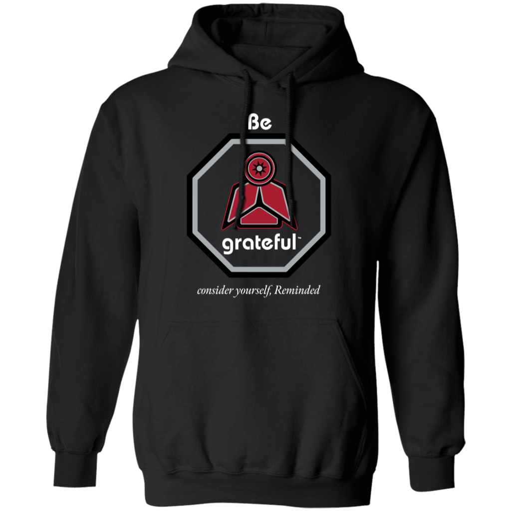 Stop And Be Grateful Better Today Hoodie RSB